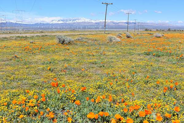 Land for Sale in Fairmont, California