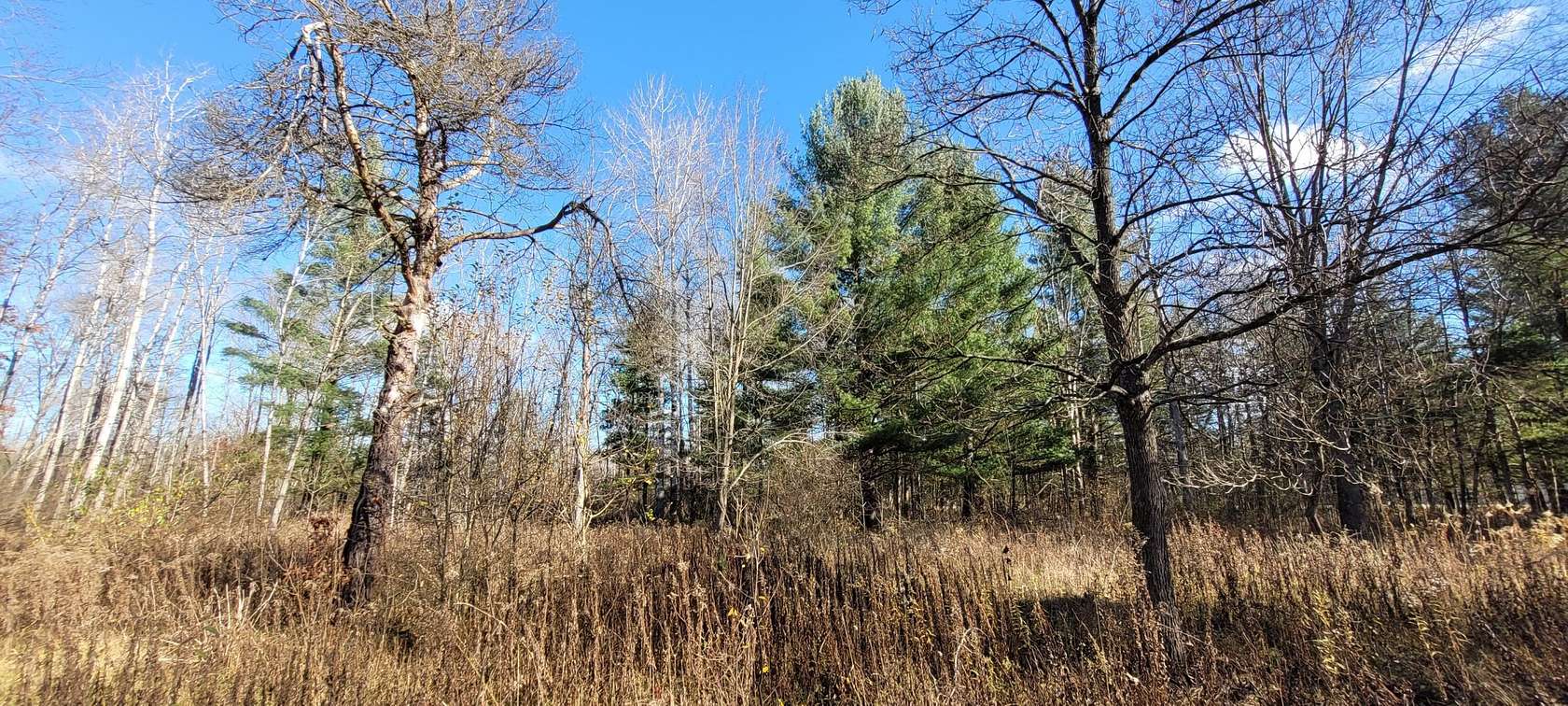 9.9 Acres of Land for Sale in White Cloud, Michigan