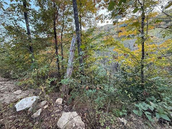 7 Acres of Land for Sale in Livingston, Kentucky