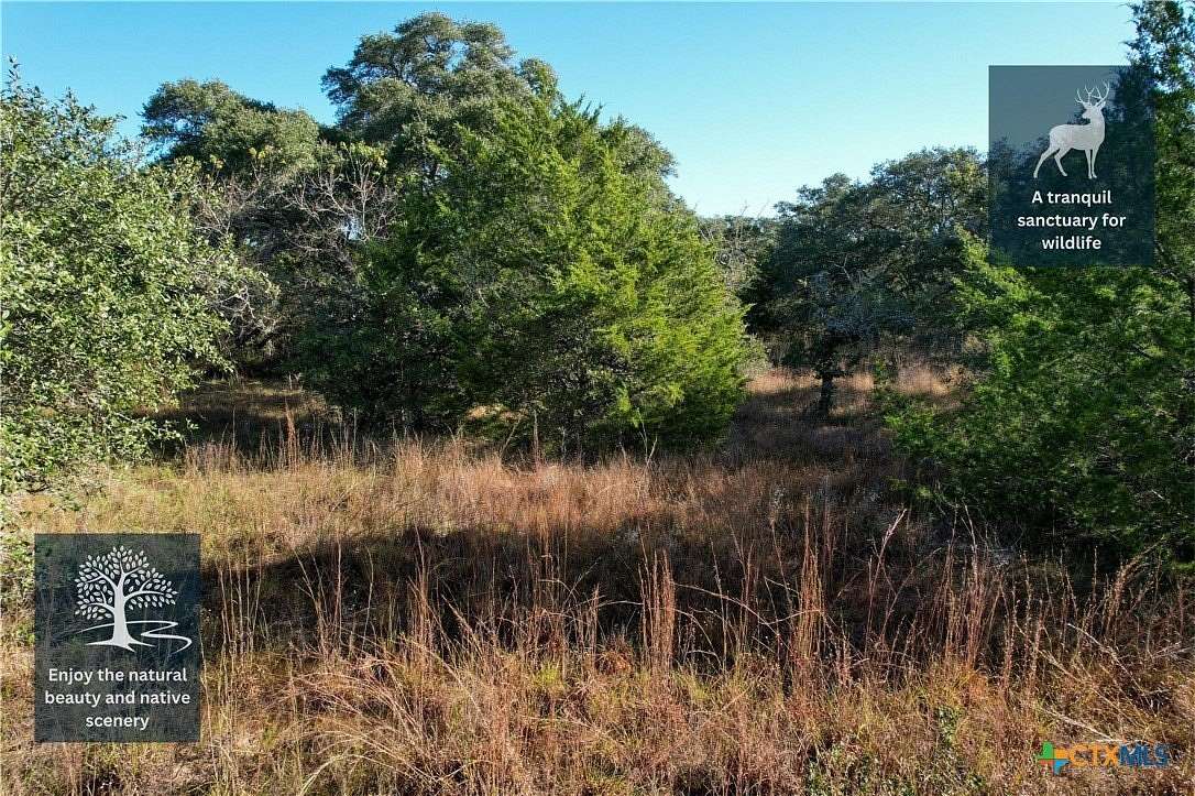 20 Acres of Land for Sale in Hallettsville, Texas