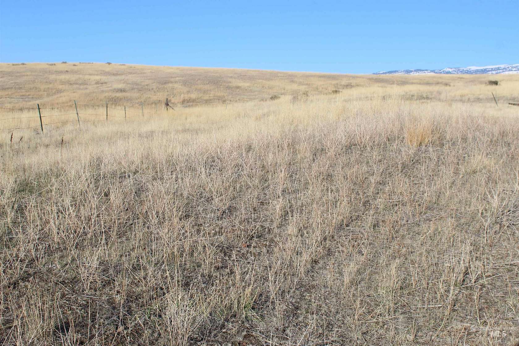 10.95 Acres of Recreational Land for Sale in Indian Valley, Idaho