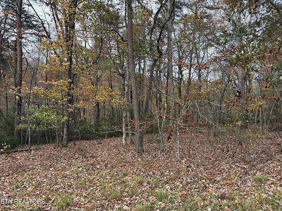 2 Acres of Residential Land for Sale in Monterey, Tennessee