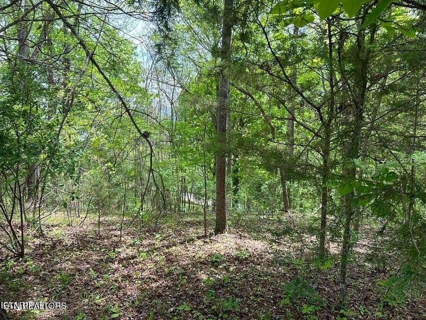 0.5 Acres of Residential Land for Sale in La Follette, Tennessee