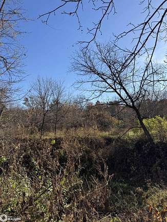 15 Acres of Land for Sale in Chariton, Iowa