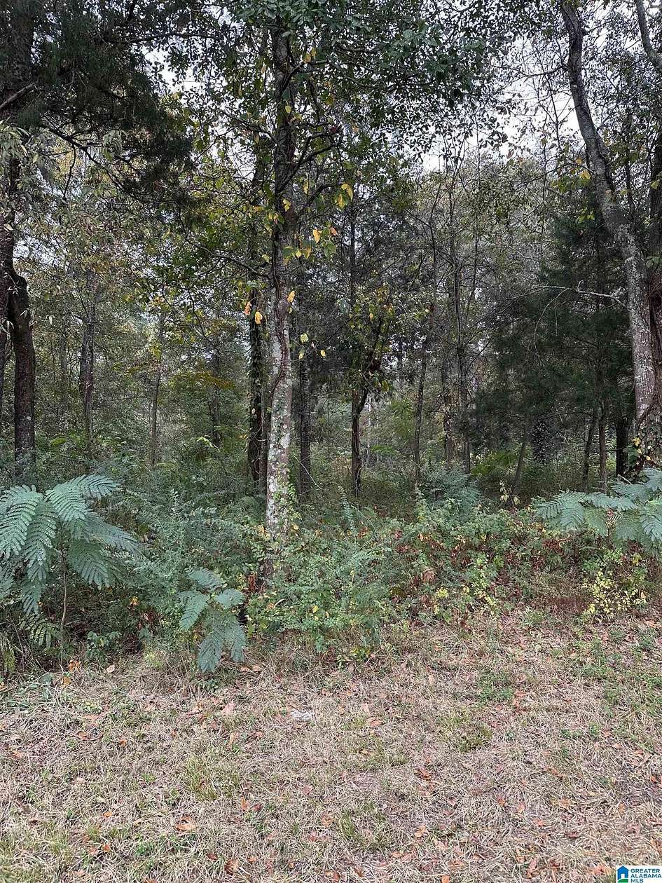 0.74 Acres of Residential Land for Sale in Pell City, Alabama