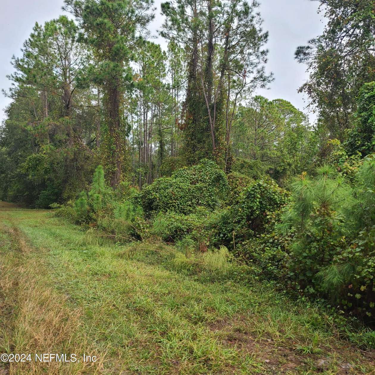 0.24 Acres of Land for Sale in Georgetown, Florida