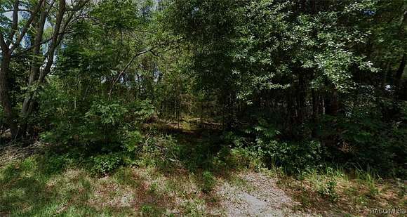 0.32 Acres of Residential Land for Sale in Inverness, Florida