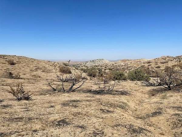 10 Acres of Residential Land for Sale in Juniper Hills, California