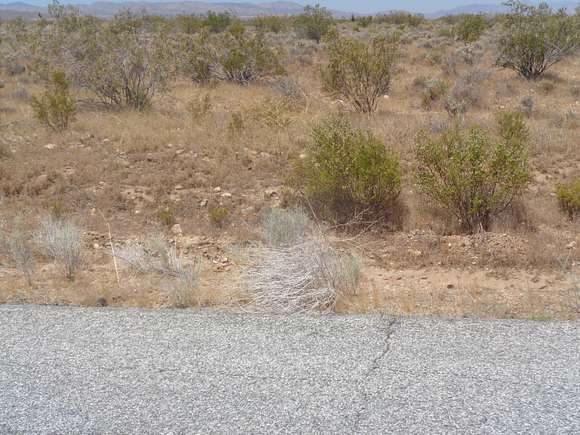 4.959 Acres of Residential Land for Sale in Palmdale, California