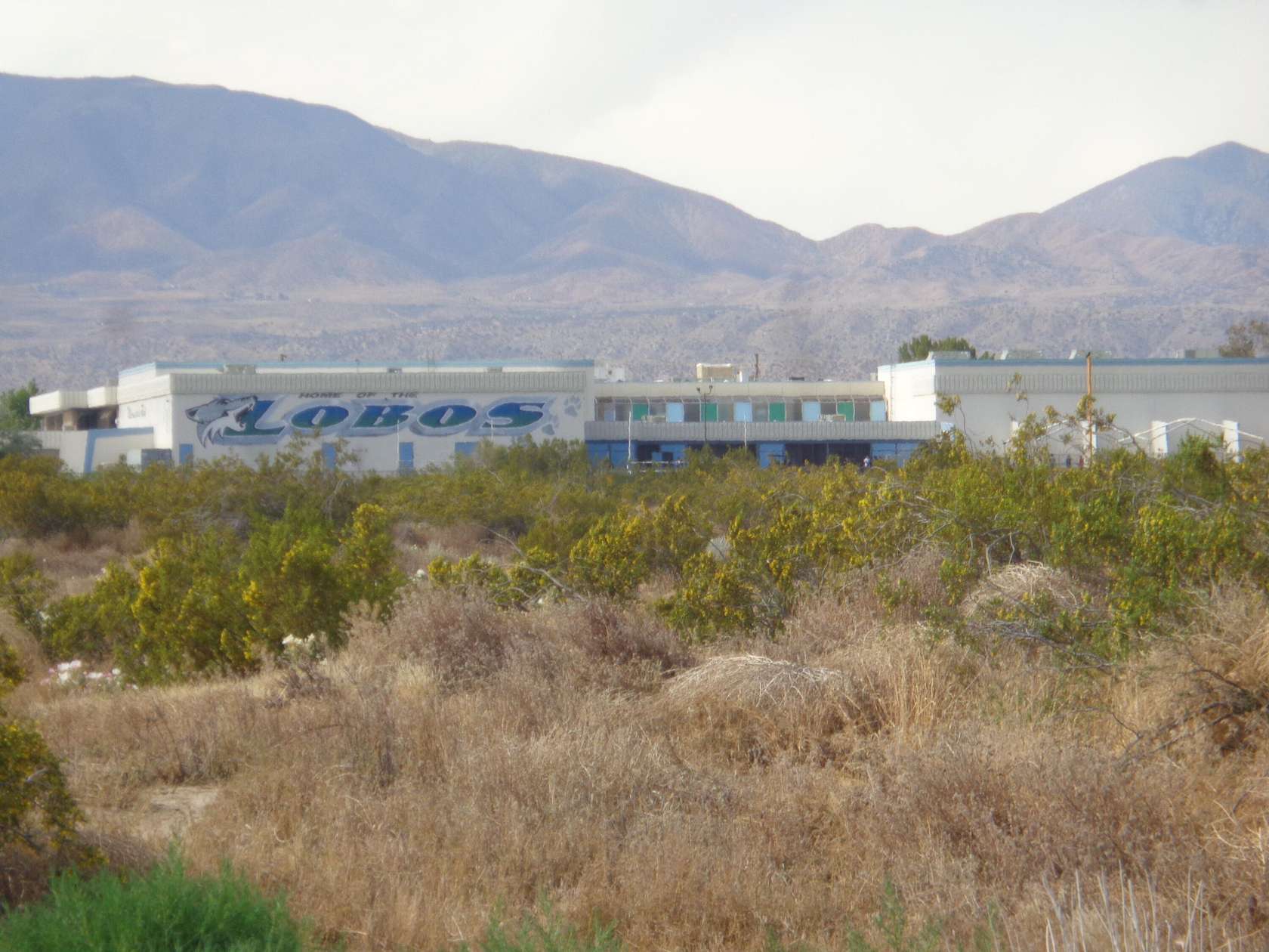 29.7 Acres of Commercial Land for Sale in Littlerock, California