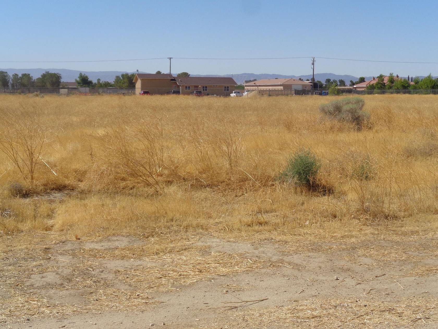 Residential Land for Sale in Rosamond, California