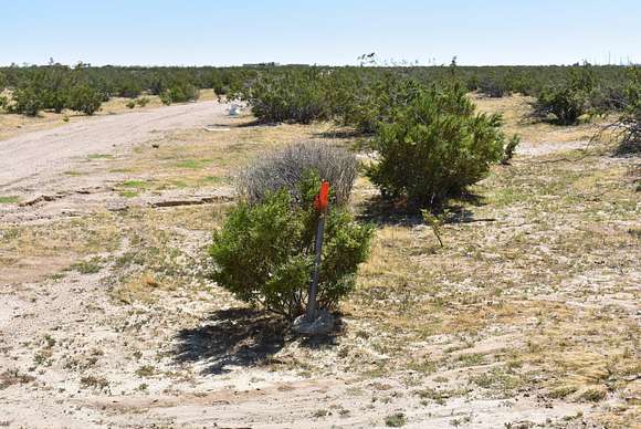 Residential Land for Sale in Mojave, California