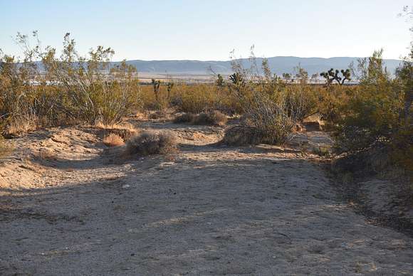 Residential Land for Sale in Rosamond, California