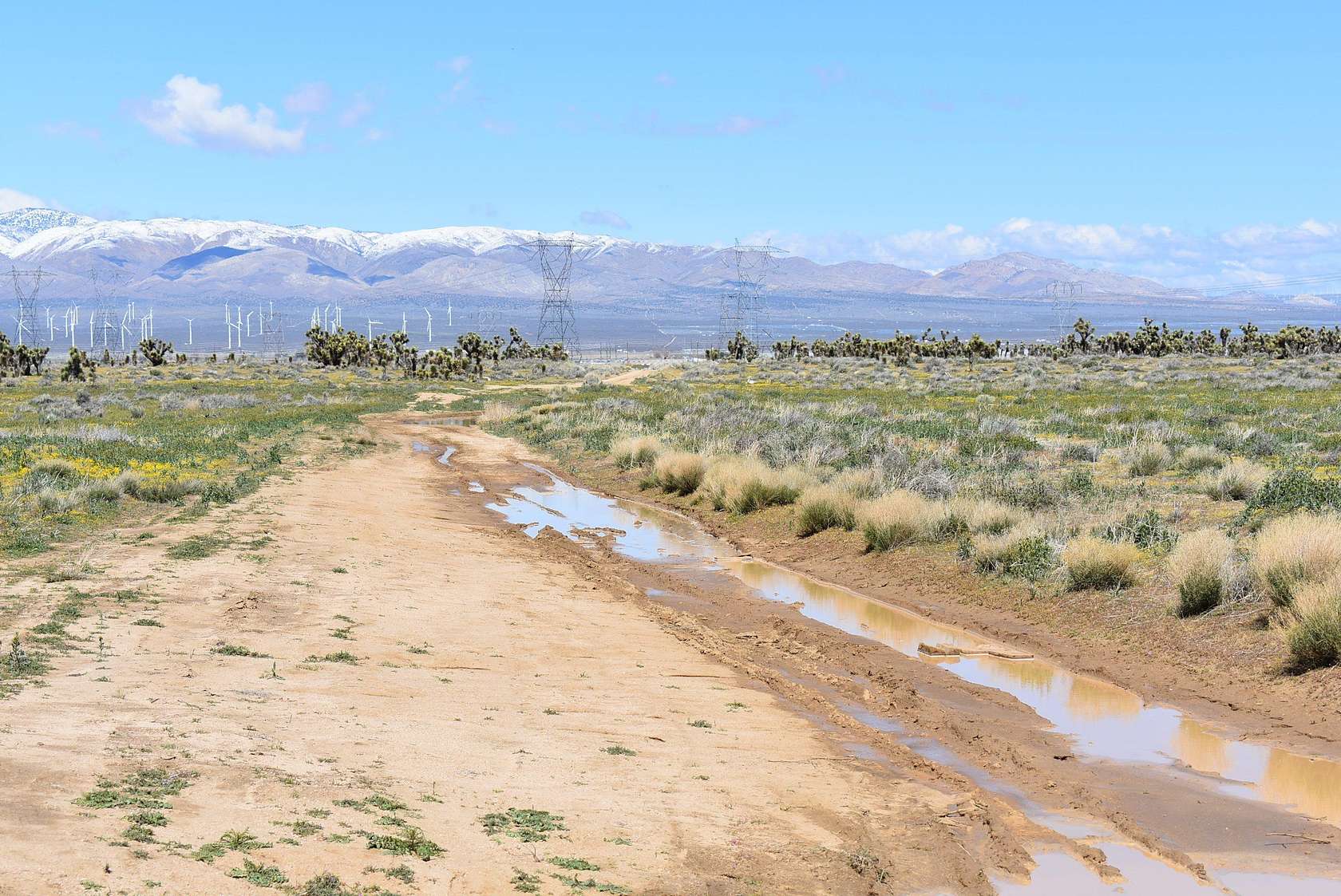 2.53 Acres of Residential Land for Sale in Lancaster, California