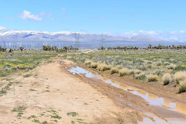 2.53 Acres of Residential Land for Sale in Lancaster, California