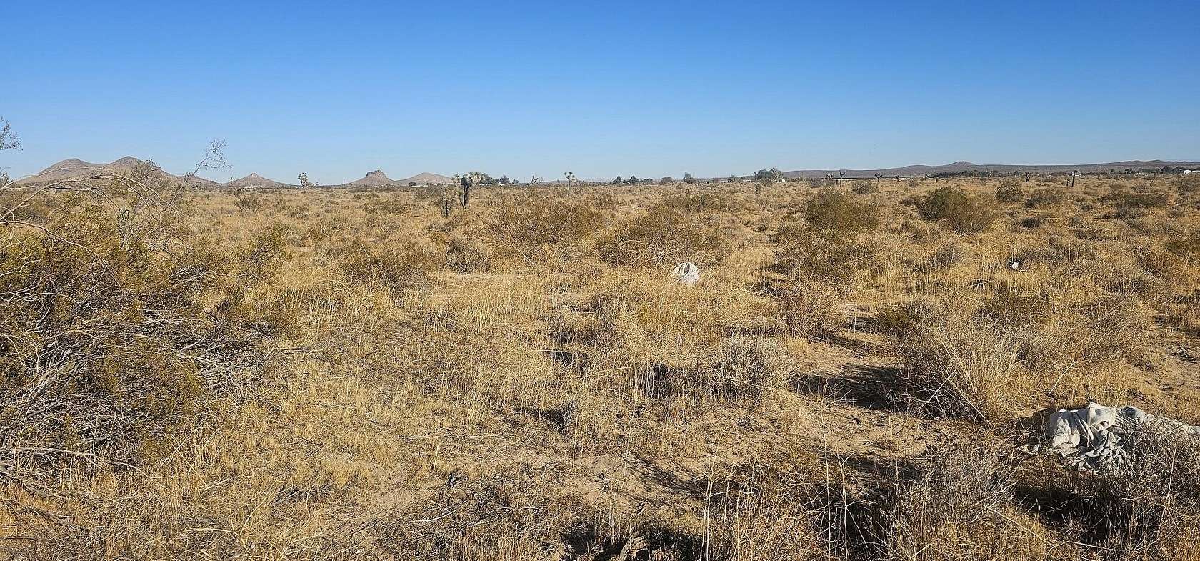 Land for Sale in Mojave, California