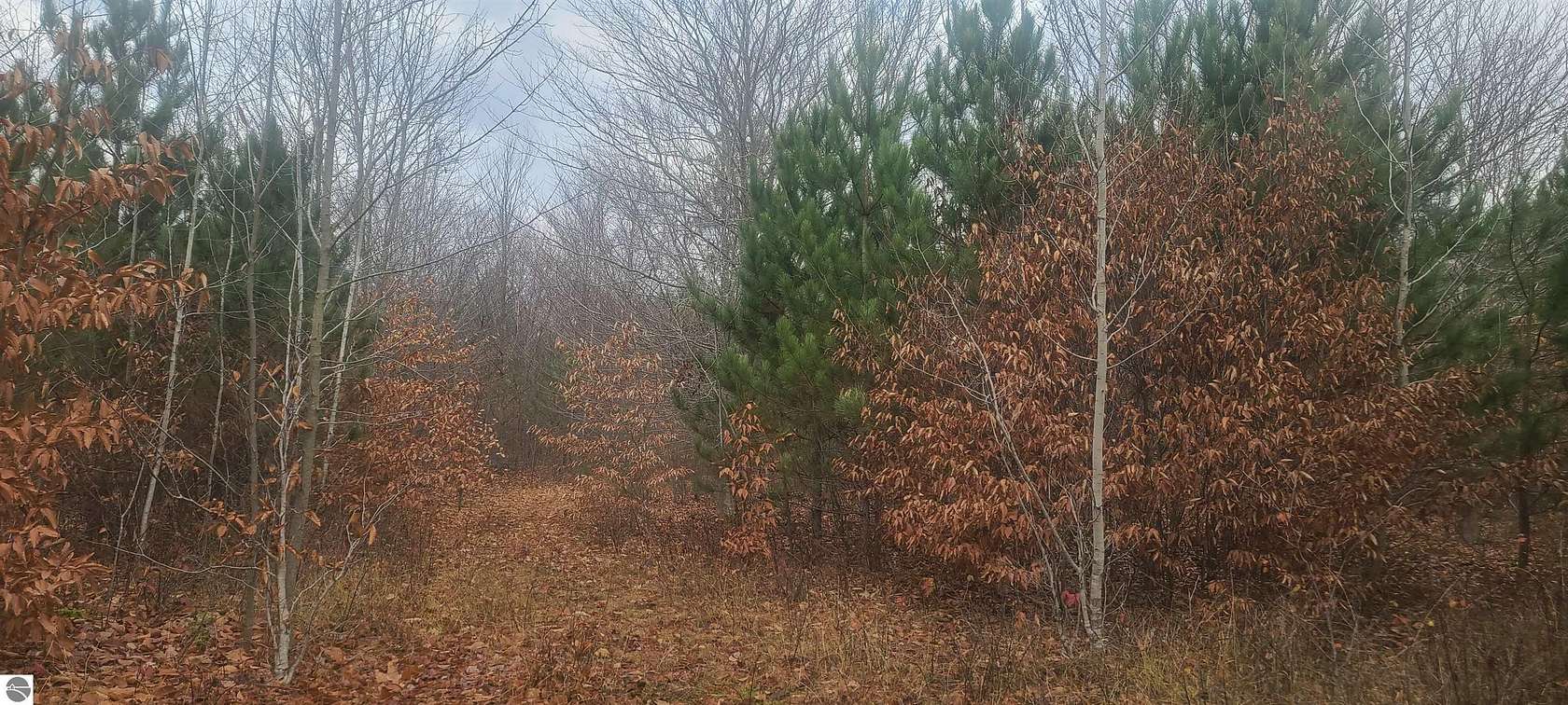 10.02 Acres of Recreational Land for Sale in Kalkaska, Michigan