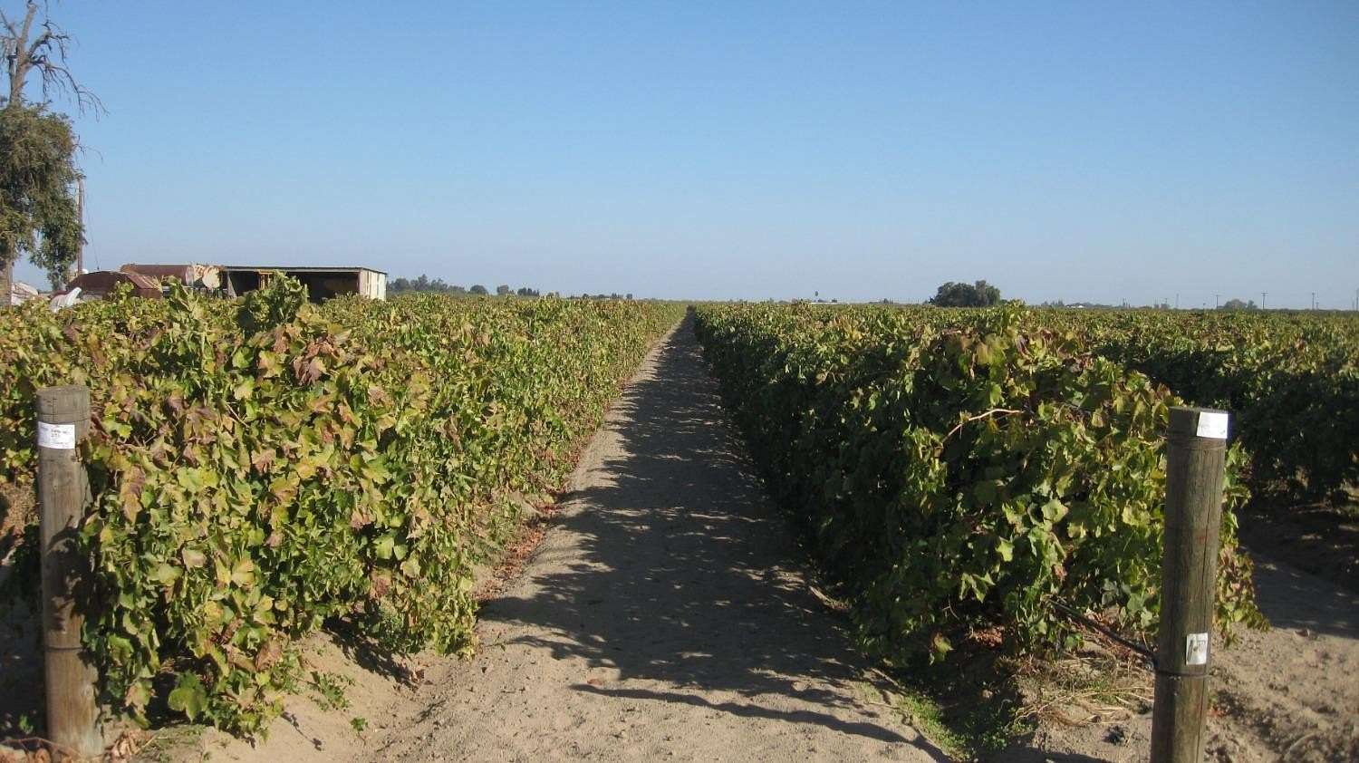 32.07 Acres of Agricultural Land with Home for Sale in Fresno, California