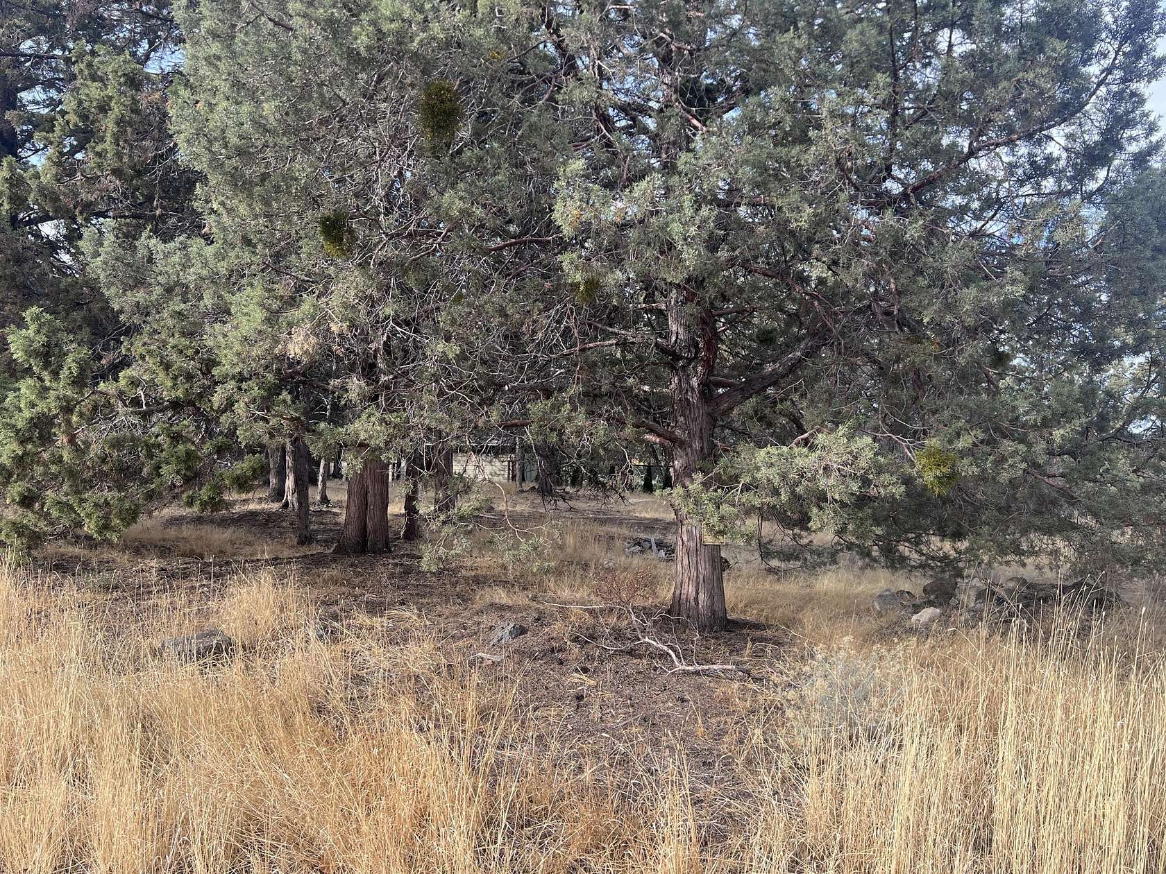 0.28 Acres of Residential Land for Sale in Bend, Oregon