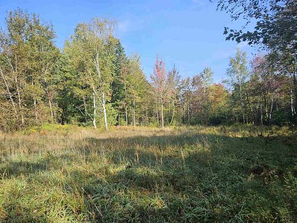 74 Acres of Land for Sale in Harrison, Michigan