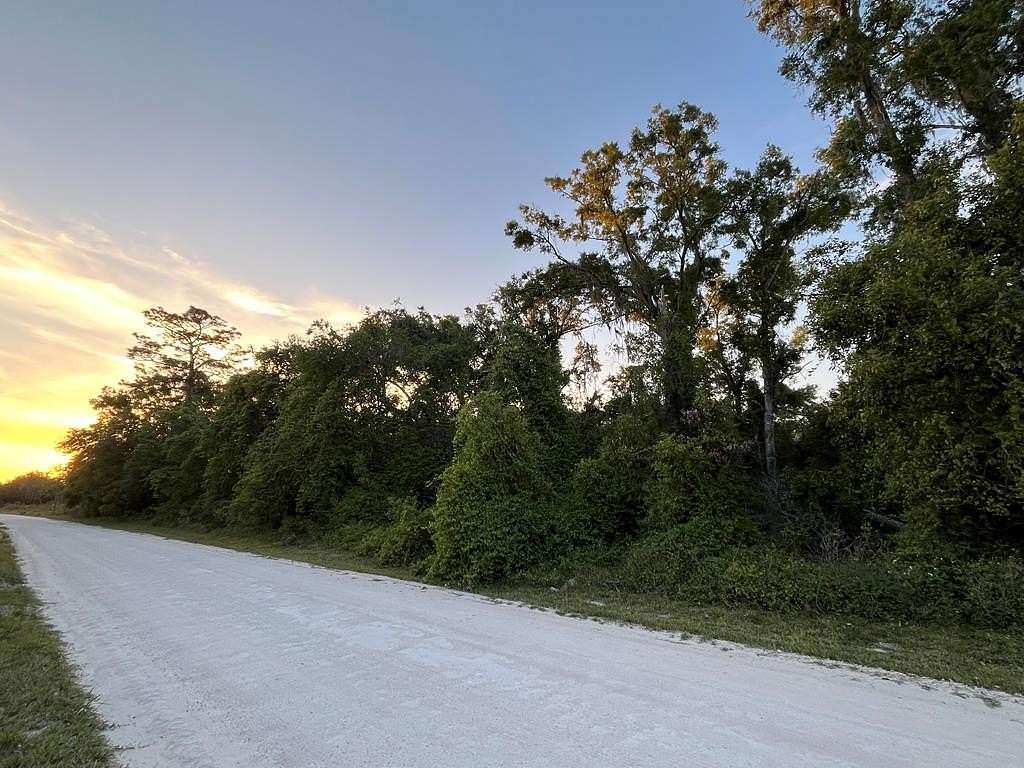 0.46 Acres of Residential Land for Sale in Old Town, Florida