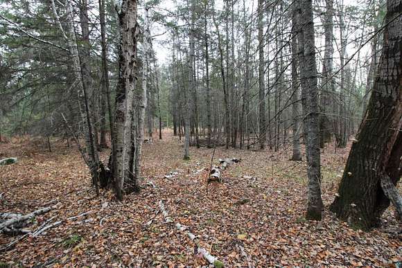 6.26 Acres of Residential Land for Sale in Eveleth, Minnesota