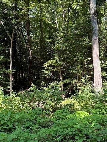 0.62 Acres of Residential Land for Sale in Heathsville, Virginia