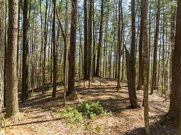 1.18 Acres of Residential Land for Sale in Ellijay, Georgia