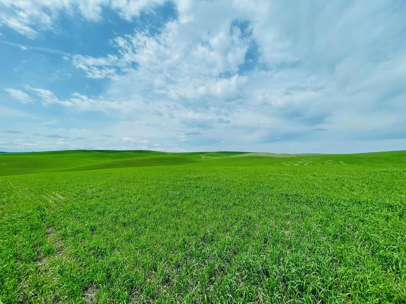 40 Acres of Agricultural Land for Sale in Spangle, Washington