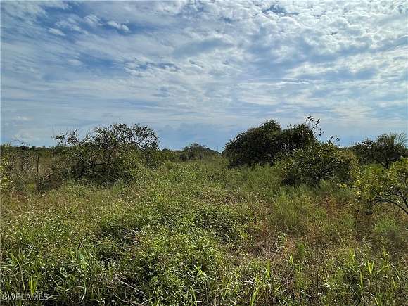 8.77 Acres of Land for Sale in LaBelle, Florida