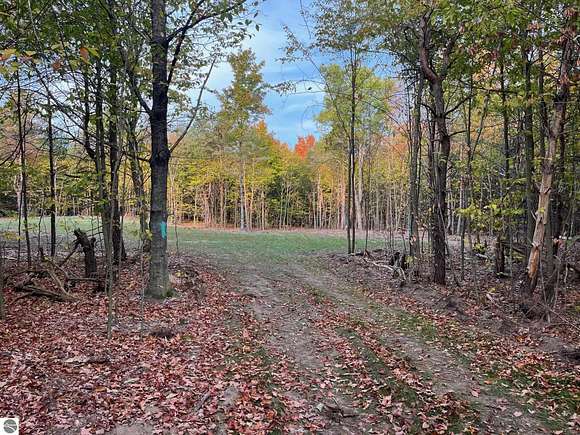 10.06 Acres of Land for Sale in Maple City, Michigan