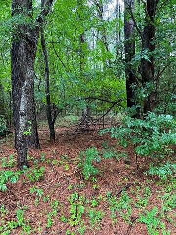 0.58 Acres of Residential Land for Sale in Heathsville, Virginia