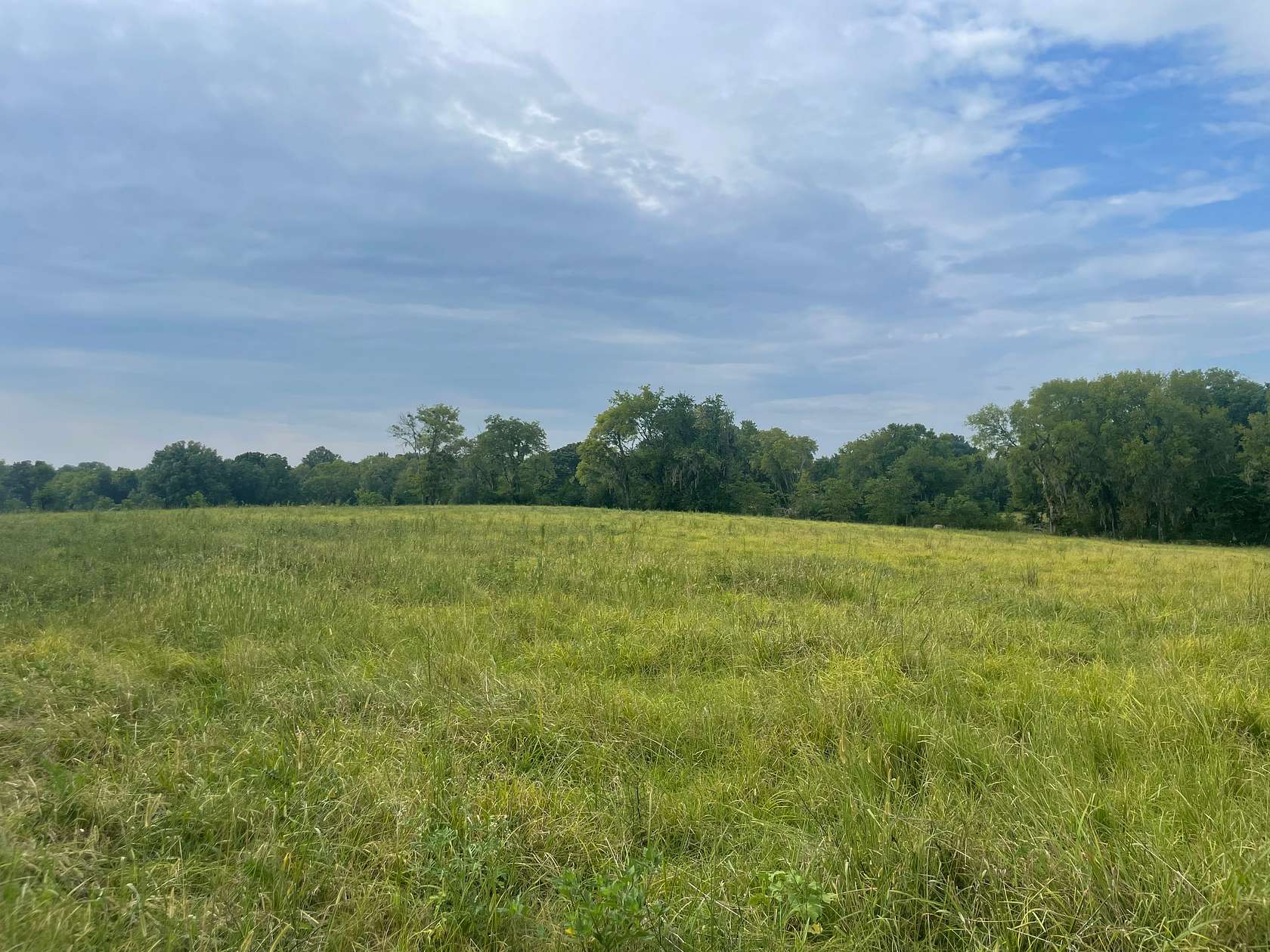 14.5 Acres of Land for Sale in Mosses, Alabama