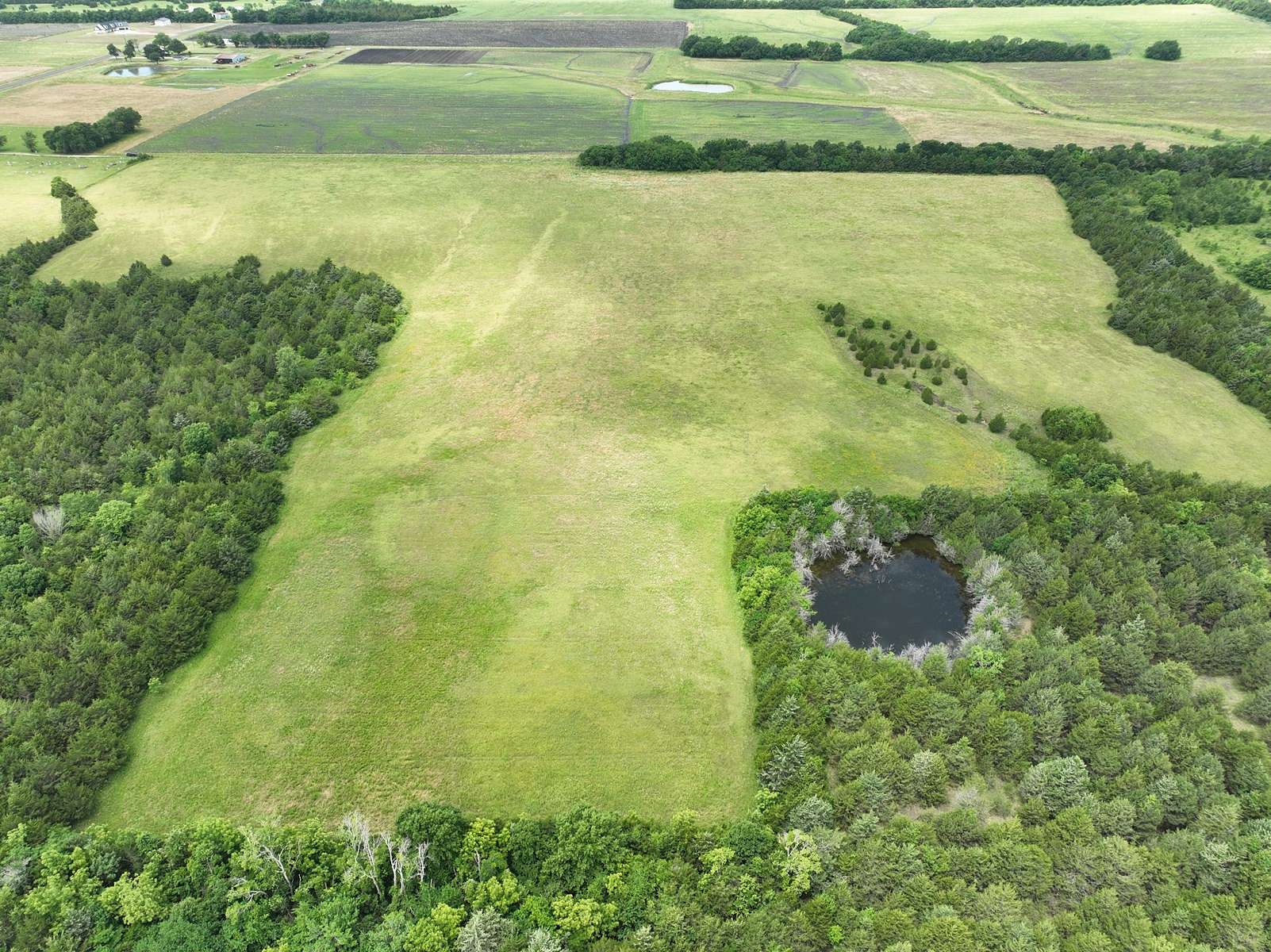 22 Acres of Land for Sale in Roxton, Texas