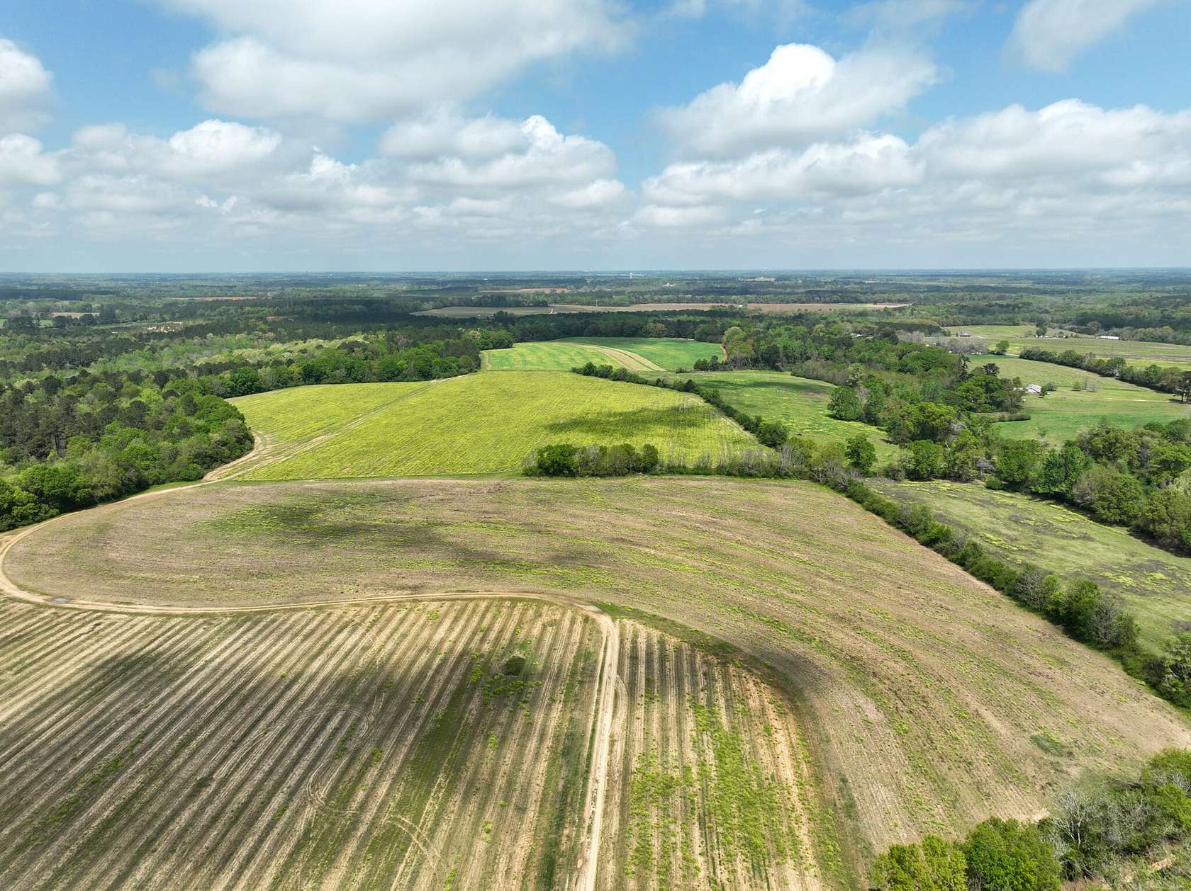 180 Acres of Recreational Land for Sale in Dothan, Alabama