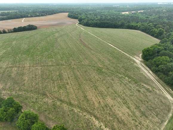 180 Acres of Recreational Land for Sale in Dothan, Alabama