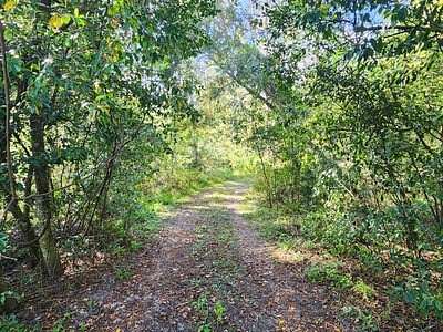 10 Acres of Recreational Land & Farm for Sale in Lake City, Florida