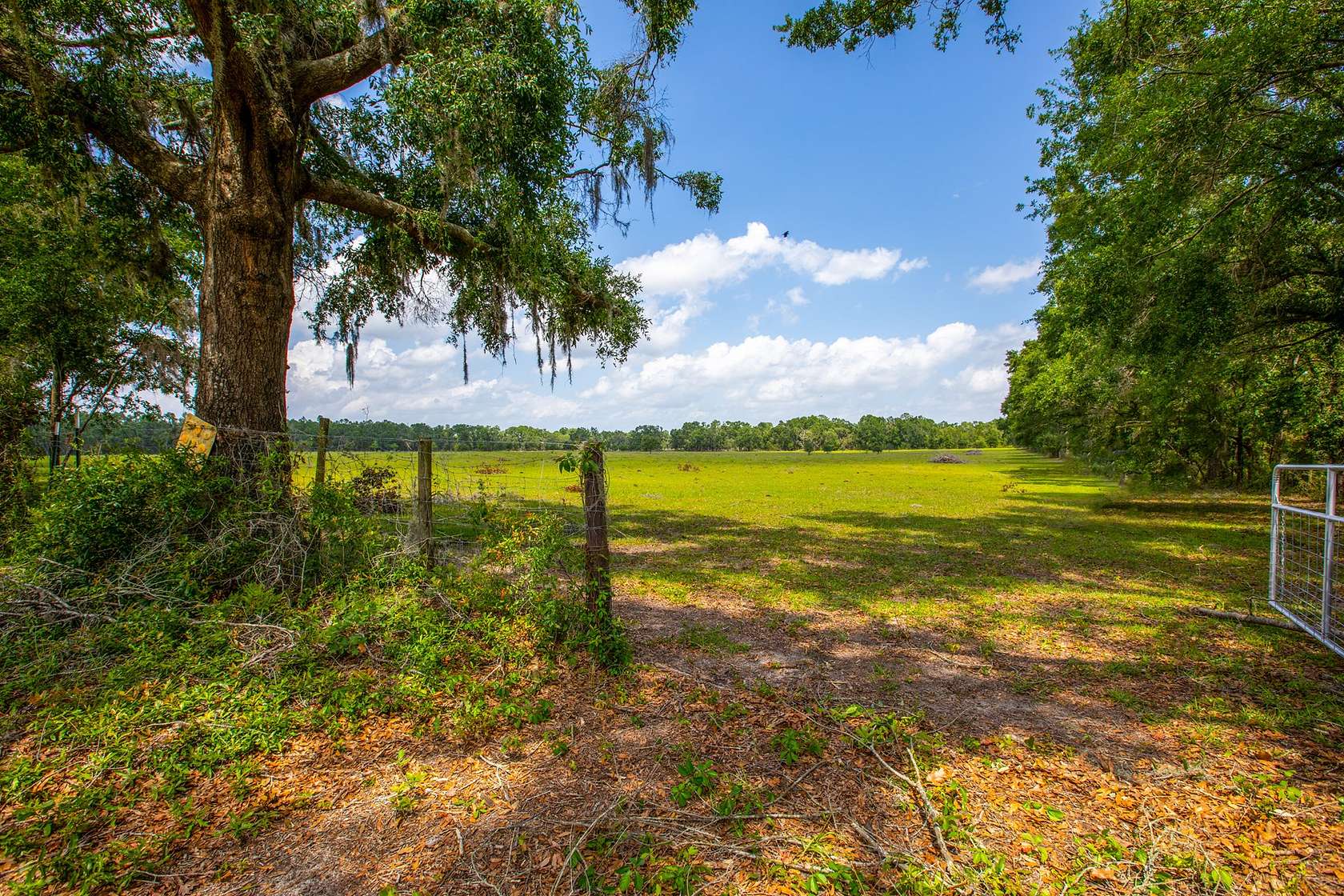 20 Acres of Agricultural Land for Sale in Live Oak, Florida