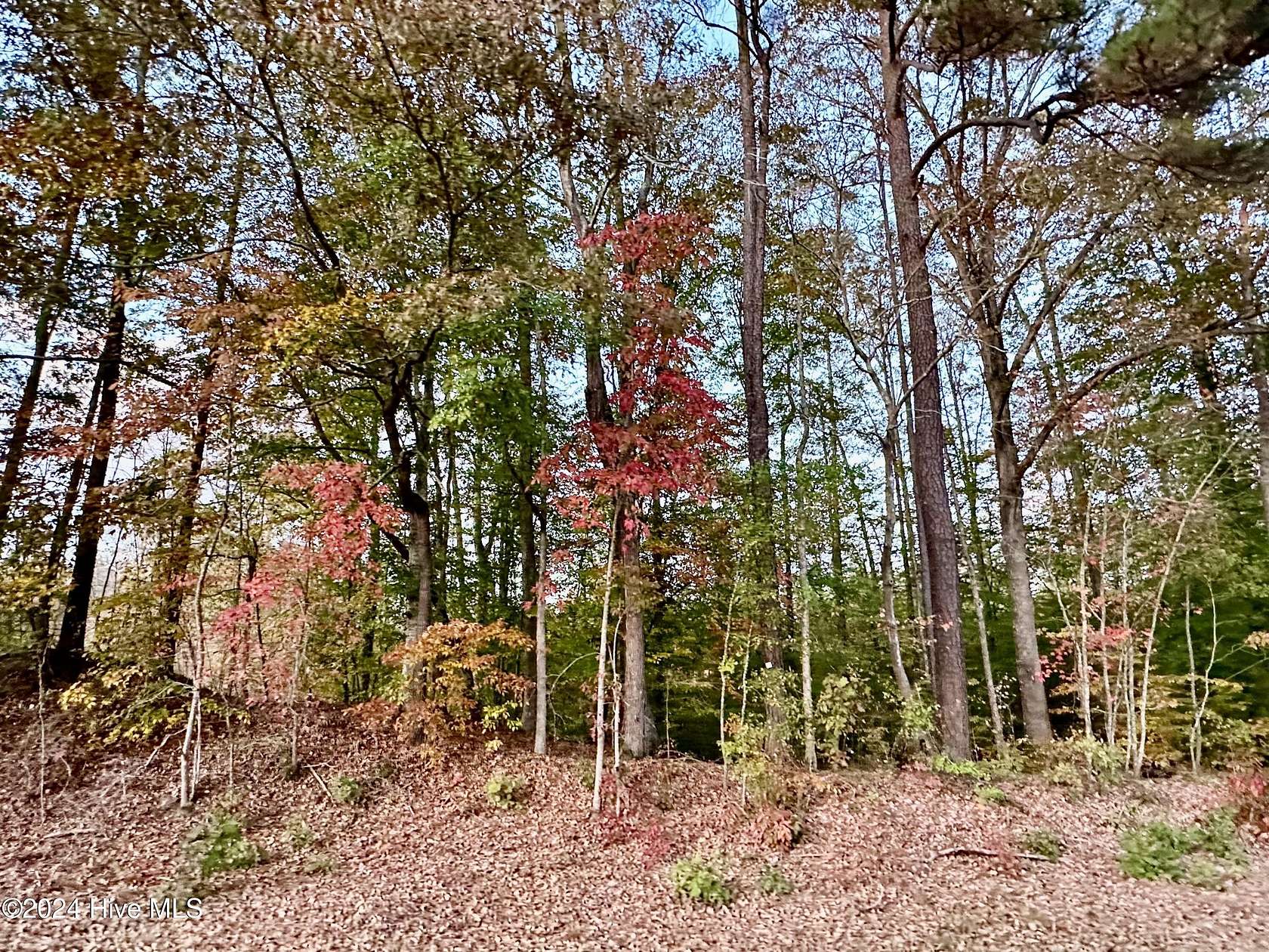 10.6 Acres of Land for Sale in Aulander, North Carolina