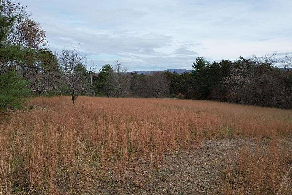 5 Acres of Residential Land for Sale in Barren Springs, Virginia