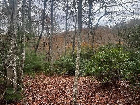 1 Acre of Residential Land for Sale in Franklin, North Carolina