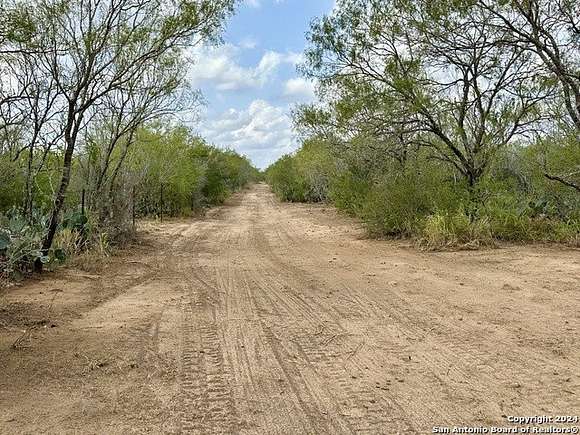 30 Acres of Recreational Land & Farm for Sale in Christine, Texas