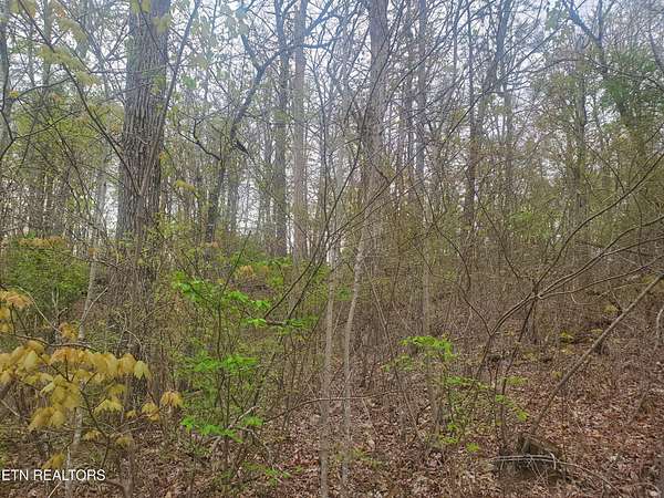 1 Acre of Residential Land for Sale in Crossville, Tennessee
