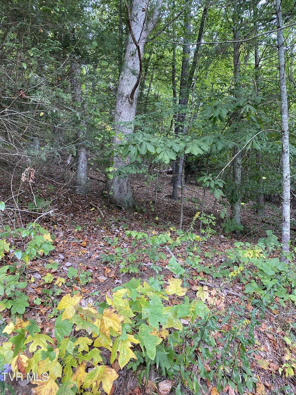 0.54 Acres of Residential Land for Sale in Johnson City, Tennessee