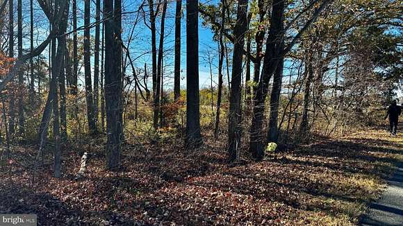 13.1 Acres of Land for Sale in Montross, Virginia