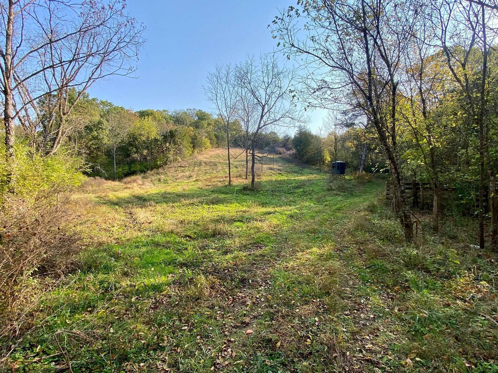 84 Acres of Land for Sale in Hillsboro, Kentucky