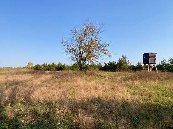 84 Acres of Land for Sale in Hillsboro, Kentucky