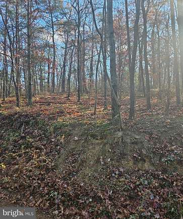 3 Acres of Residential Land for Sale in Winchester, Virginia