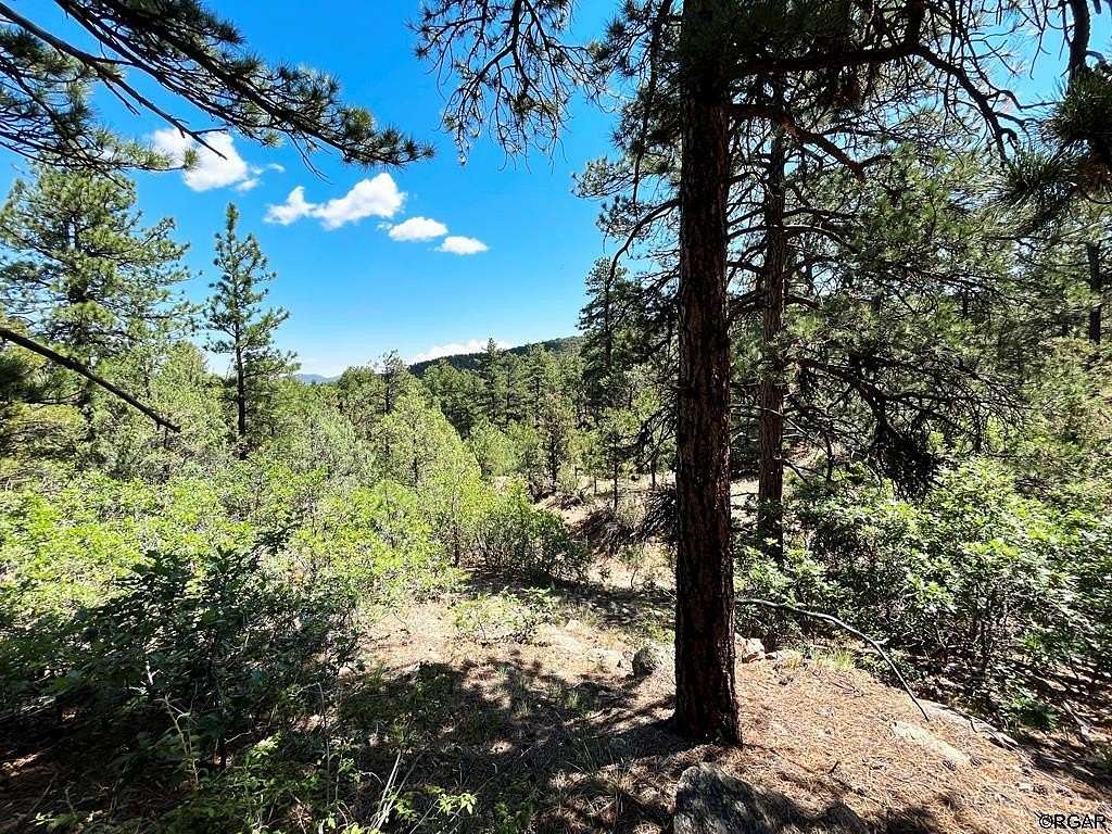 4.687 Acres of Residential Land for Sale in Cotopaxi, Colorado