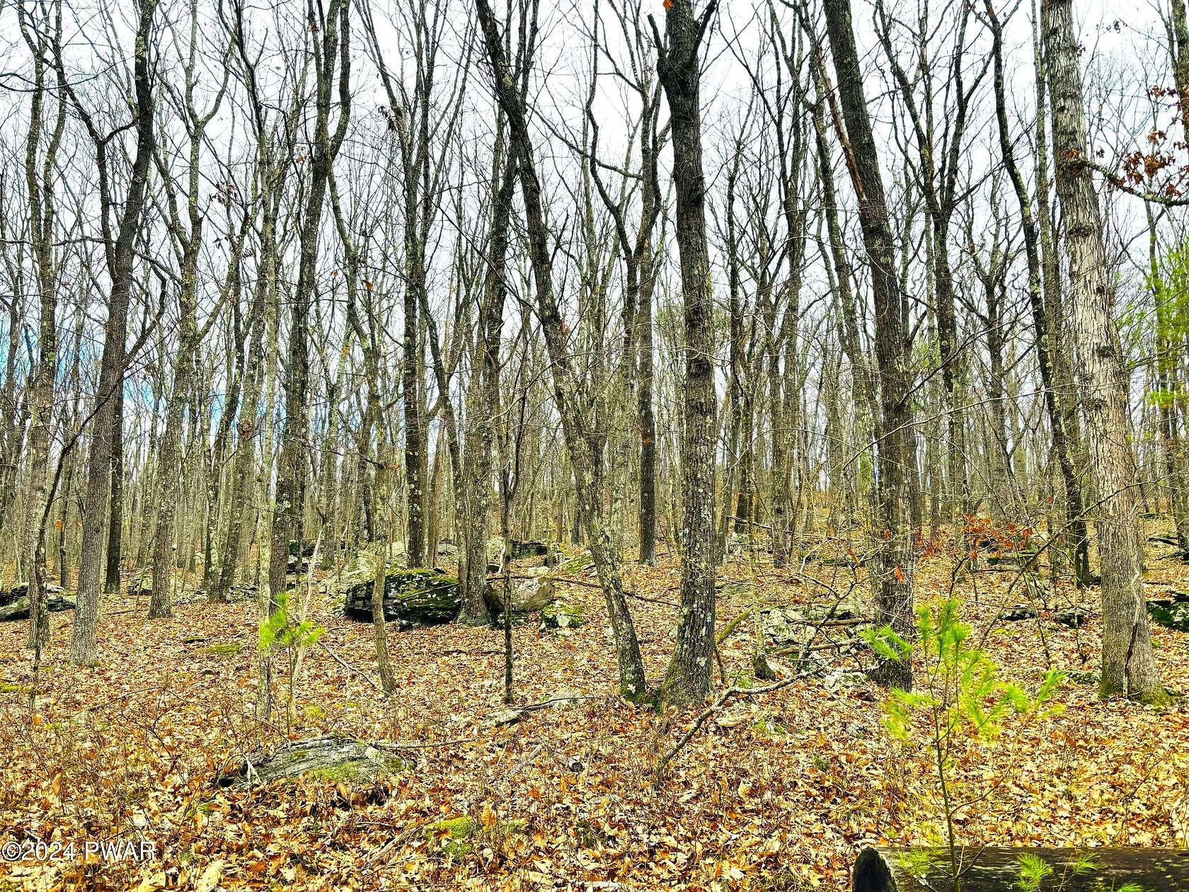 1 Acre of Residential Land for Sale in Hawley, Pennsylvania